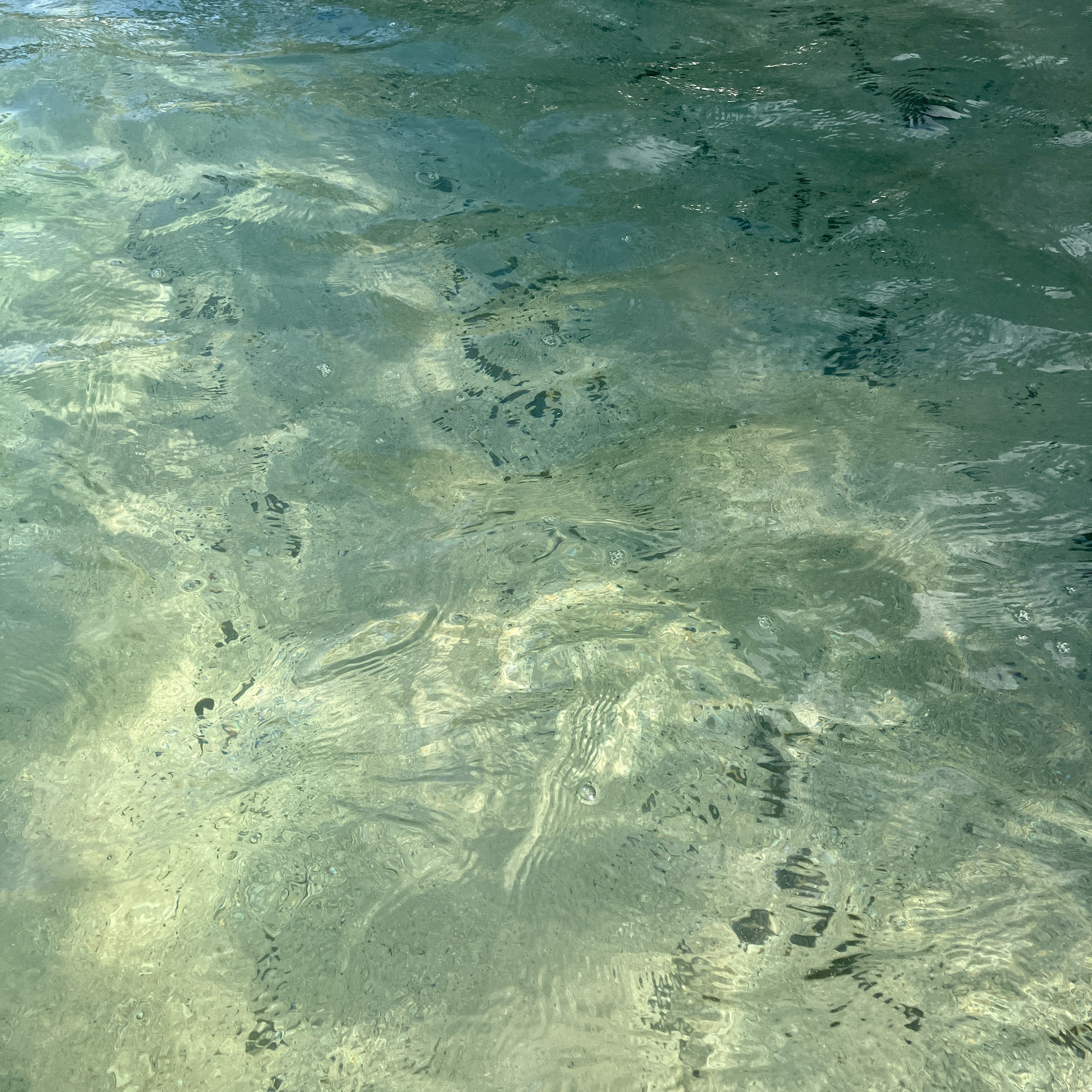 ocean