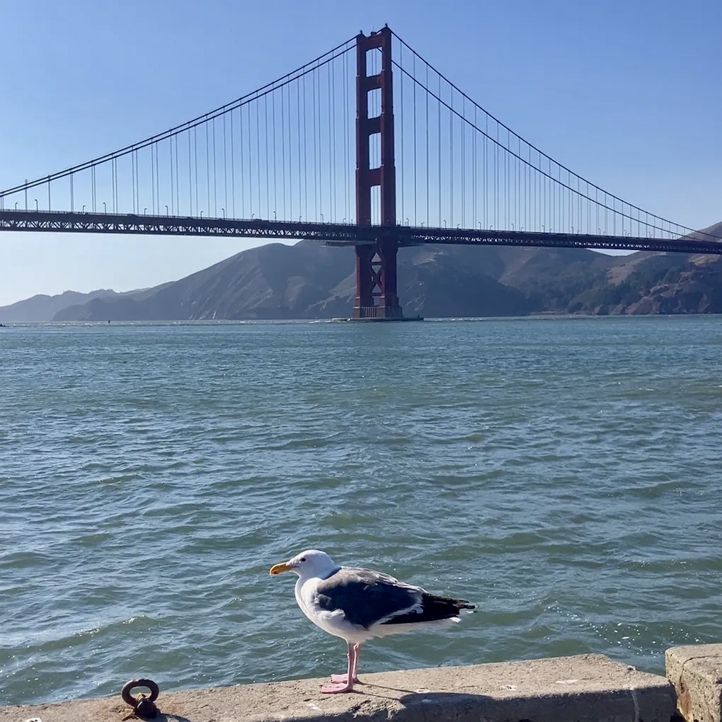 golden gate bridge