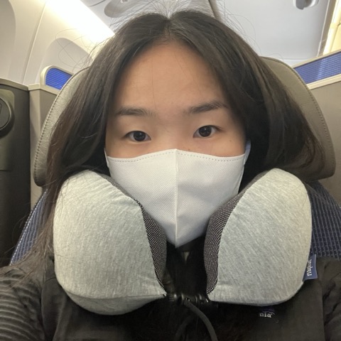 in the airplane