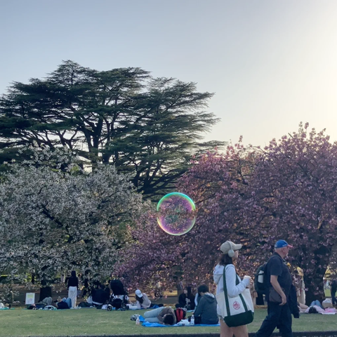 shinjuku gyoen